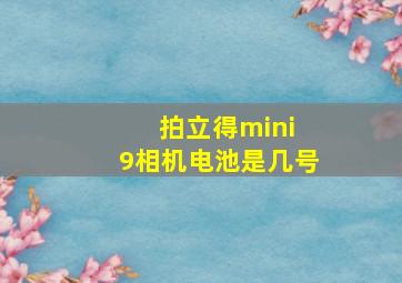 拍立得mini 9相机电池是几号